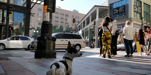 Clothing Store «Old Navy», reviews and photos, 511 Pine St, Seattle, WA 98101, USA