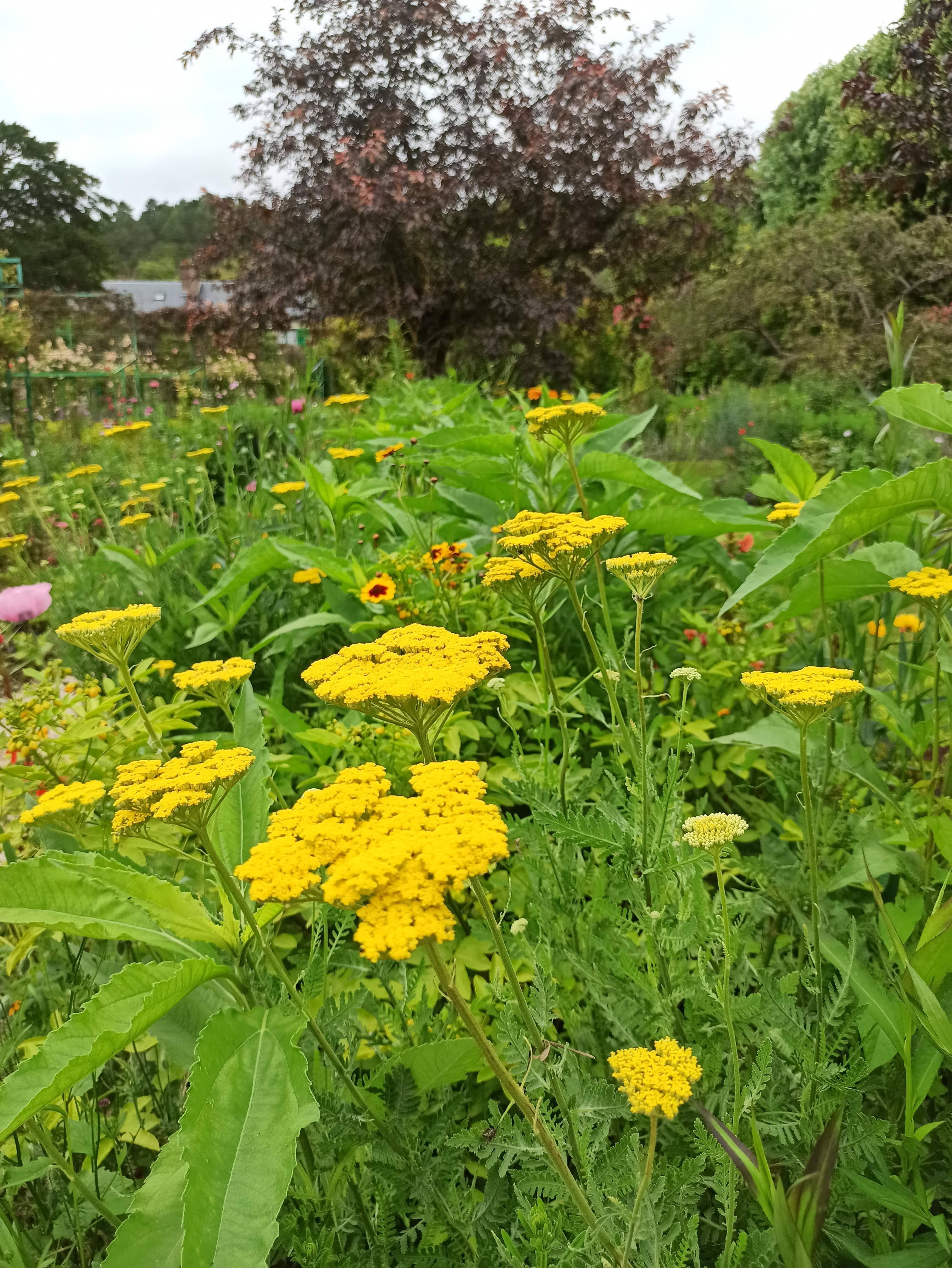 Photo n° 19 de l'avis de flo.a fait le 22/06/2020 à 13:02