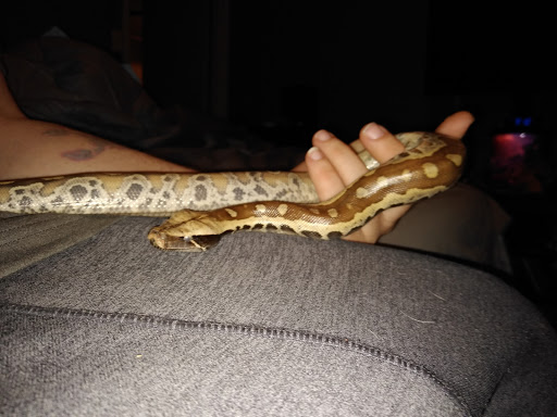 Pet Store «Critter Castle», reviews and photos, 1461 Boiling Springs Rd, Spartanburg, SC 29303, USA