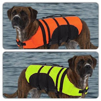 Silver Collar Pet Boutique - Photo 4 - Car repair in Metairie, LA, New Orleans