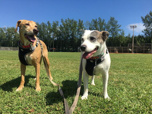 Park «Flamingo Park», reviews and photos, 1200 Meridian Ave, Miami Beach, FL 33139, USA