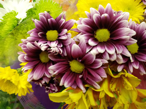 Grocery Store «Winn-Dixie», reviews and photos, 802 US-27, Avon Park, FL 33825, USA