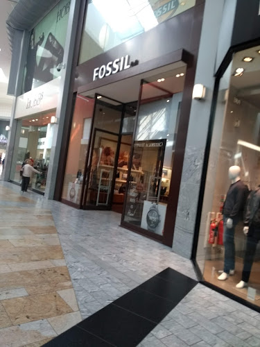Comments and reviews of Fossil