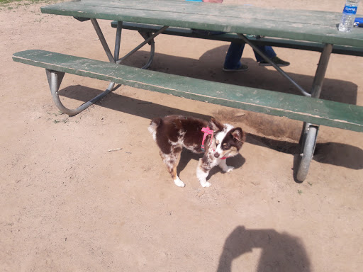 Nature Preserve «Schweitzer Woods Forest Preserve», reviews and photos, 16N690 Sleepy Hollow Rd, West Dundee, IL 60118, USA