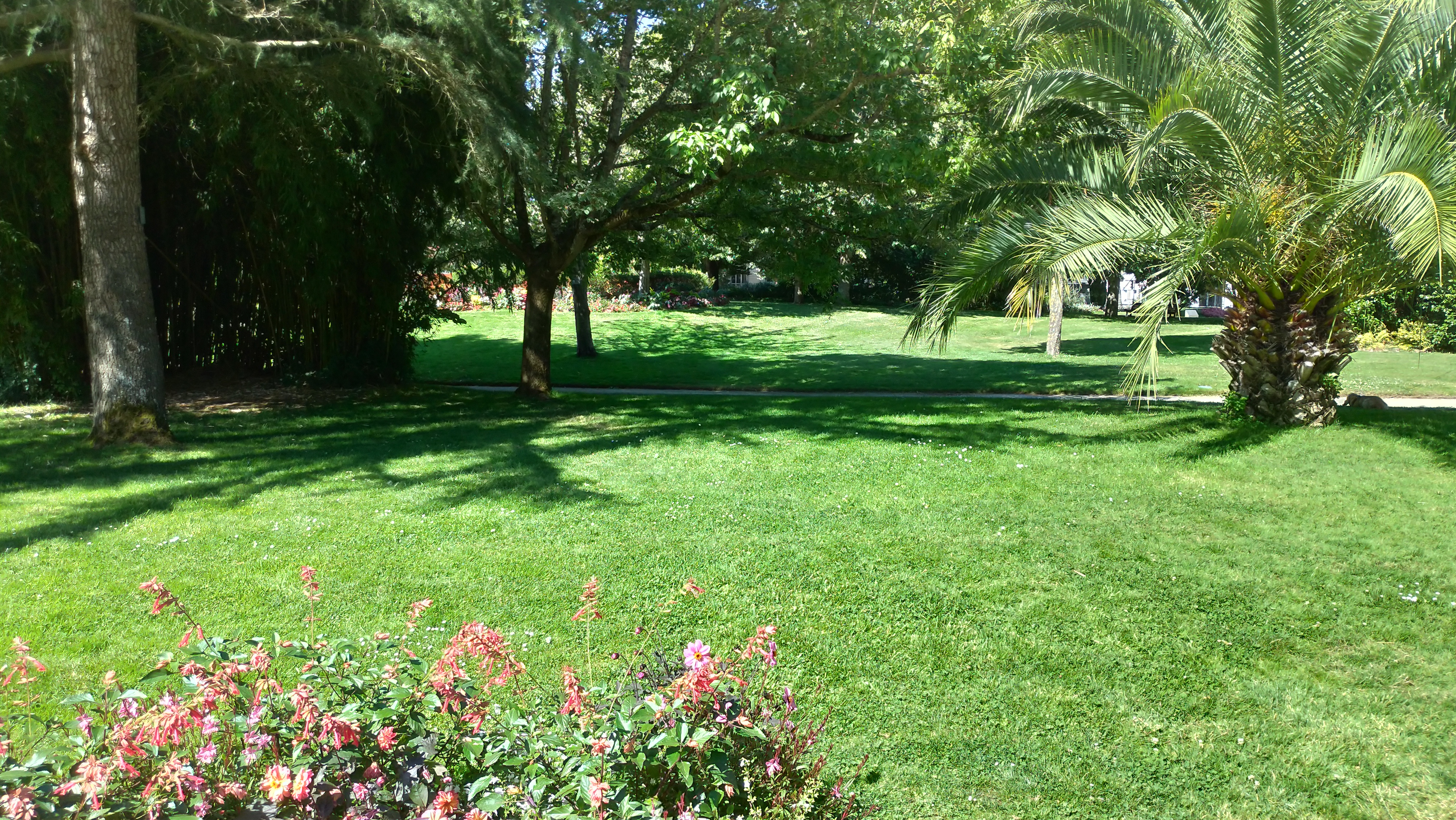 Photo n° 6 de l'avis de JJ.G fait le 22/07/2020 à 11:16