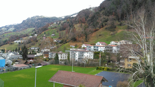 Sportplatz Vitznau - Sportstätte