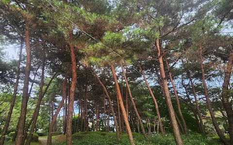 솔바람공원 image
