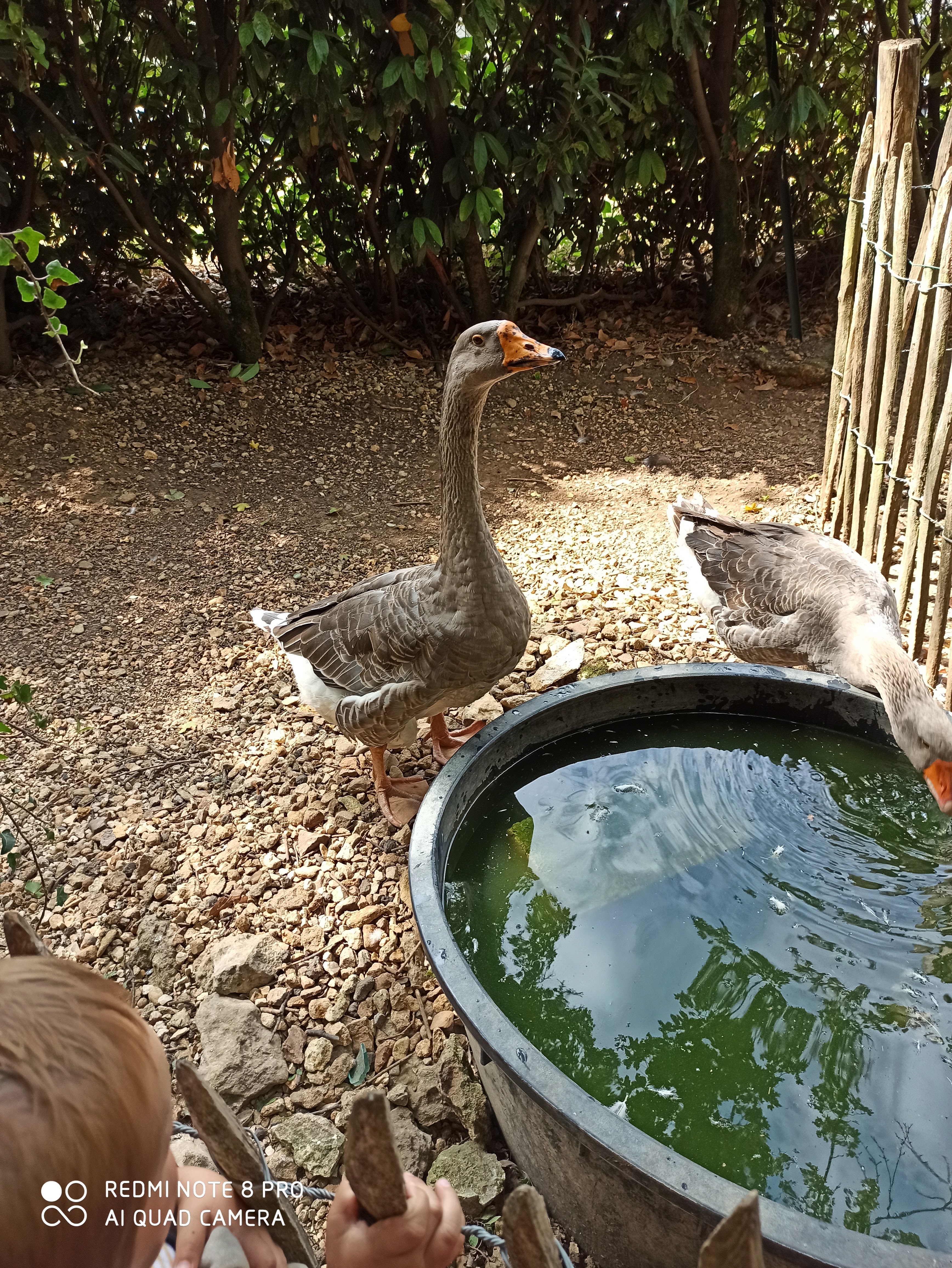 Photo n° 7 de l'avis de Barbara.e fait le 12/08/2020 à 11:49