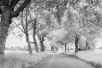 Just Imagine Photography