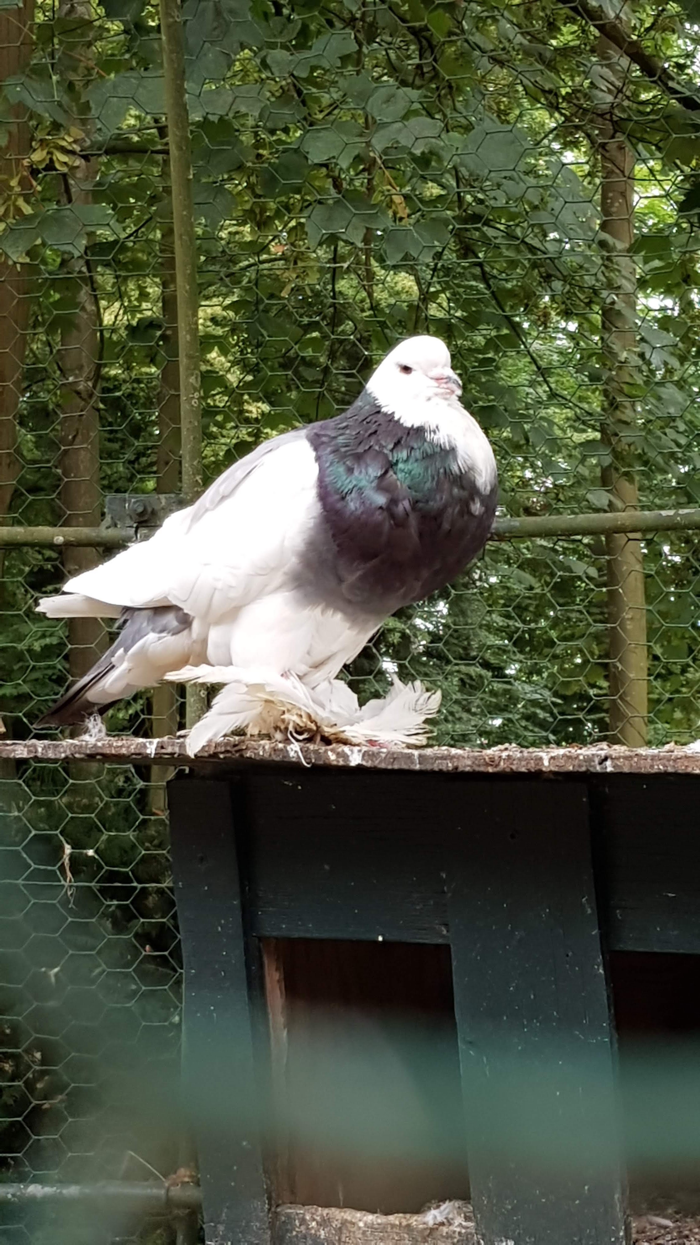 Photo n° 7 de l'avis de Jean-Pierre.l fait le 17/07/2018 à 09:39