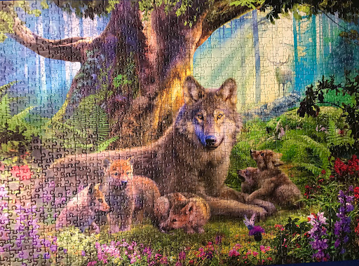 Thrift Store «Goodwill», reviews and photos, 6400 8th Ave NW, Seattle, WA 98107, USA