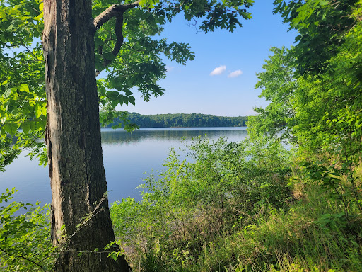 National Forest «Land Between the Lakes National Recreation Area», reviews and photos, 238 Visitor Center Dr, Golden Pond, KY 42211, USA