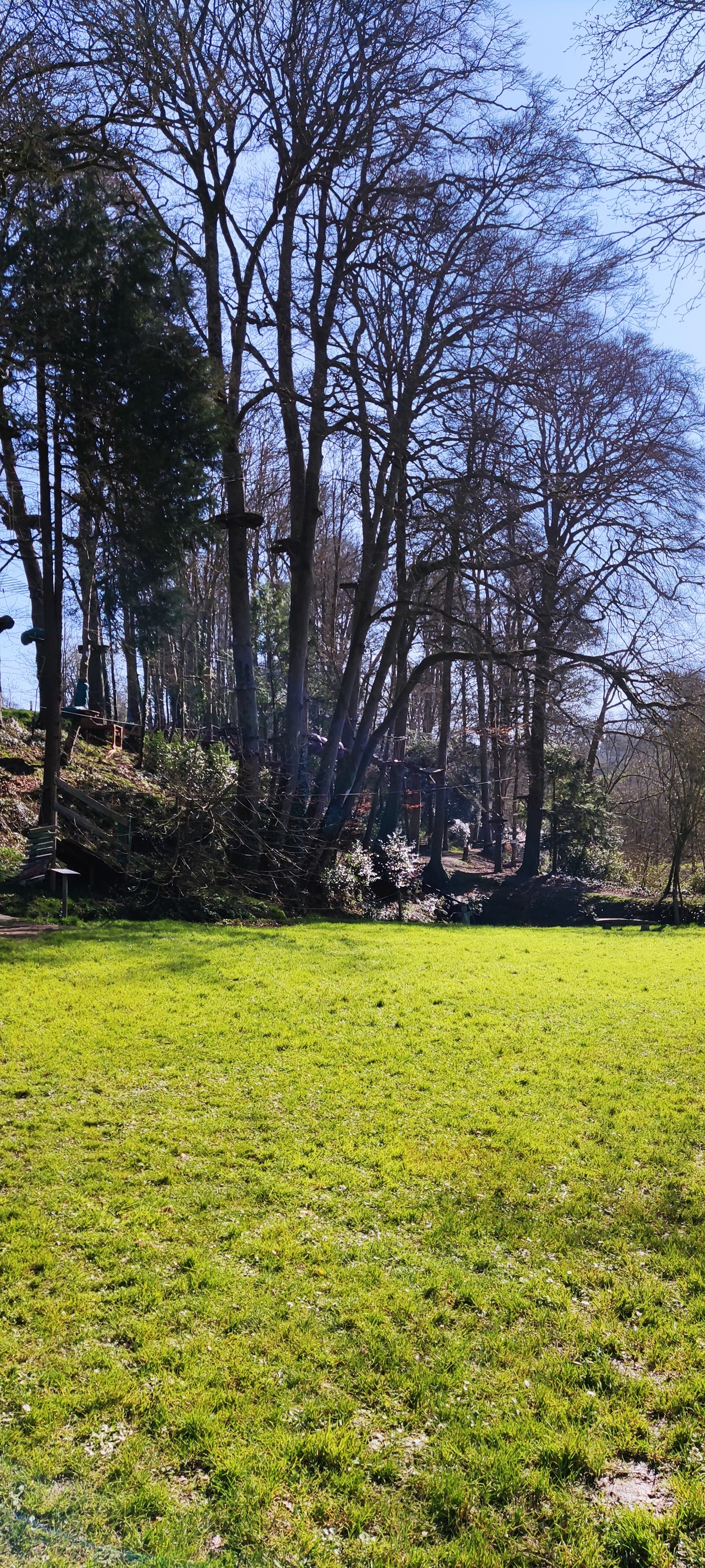 Photo n° 2 de l'avis de Virgile.o fait le 02/03/2021 à 06:57