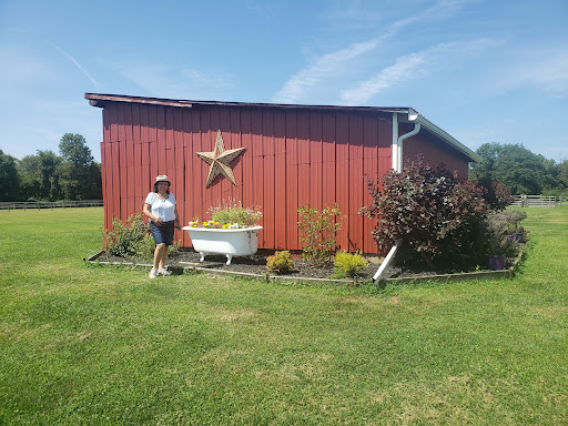 Gift Shop «Hidden Spring Lavender Farm and Gift Shoppe», reviews and photos, 890 Belle Mead-Blawenburg Rd, Skillman, NJ 08558, USA