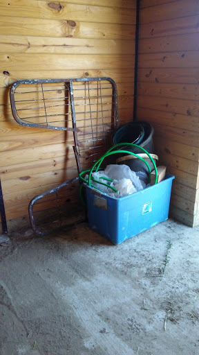 Car Racing Track «Hollywood Gaming at Mahoning Valley Race Course», reviews and photos, 655 N Canfield Niles Rd, Youngstown, OH 44515, USA