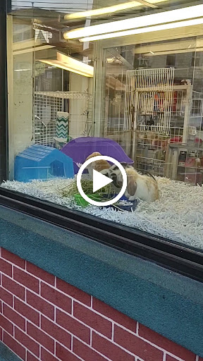 Tropical Fish Store «Ironbound Pet Shop», reviews and photos, 246 Ferry St # 5, Newark, NJ 07105, USA