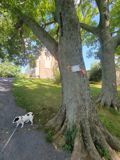 Historical Place «Sully Historic Site», reviews and photos, 3650 Historic Sully Way, Chantilly, VA 20151, USA