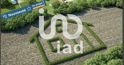 Sylvie HOUITTE - Mandataire Immobilier IAD à Veigné