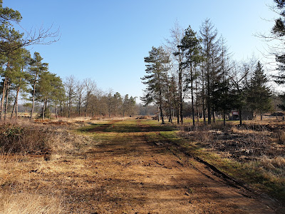 Terrain de motocross à Allain