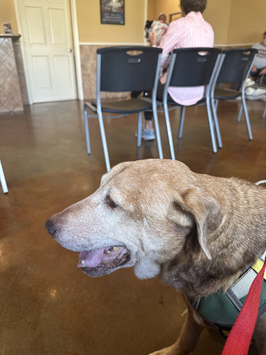 Expressway Animal Hospital image