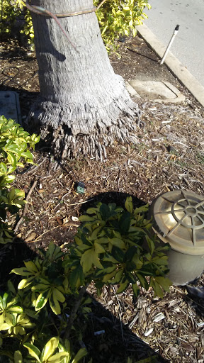 Tobacco Shop «Samaya Smoke shop», reviews and photos, 1419 Washington Ave, Miami Beach, FL 33139, USA