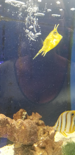 Pet Supply Store «Pet Station Jackson», reviews and photos, 1617 E Michigan Ave, Jackson, MI 49202, USA