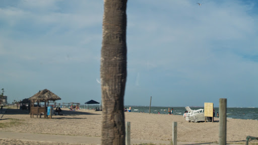 Gift Shop «North Beach Gift Shop», reviews and photos, 2901 Surfside Blvd, Corpus Christi, TX 78402, USA