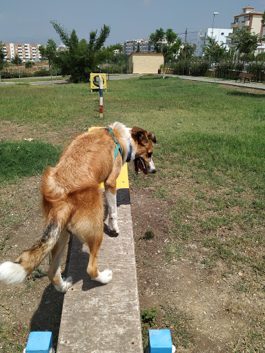 Clínica Veterinaria Nerja - C. el Chaparil, 3, 29780 Nerja, Málaga, España