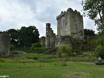 Blarney Stone