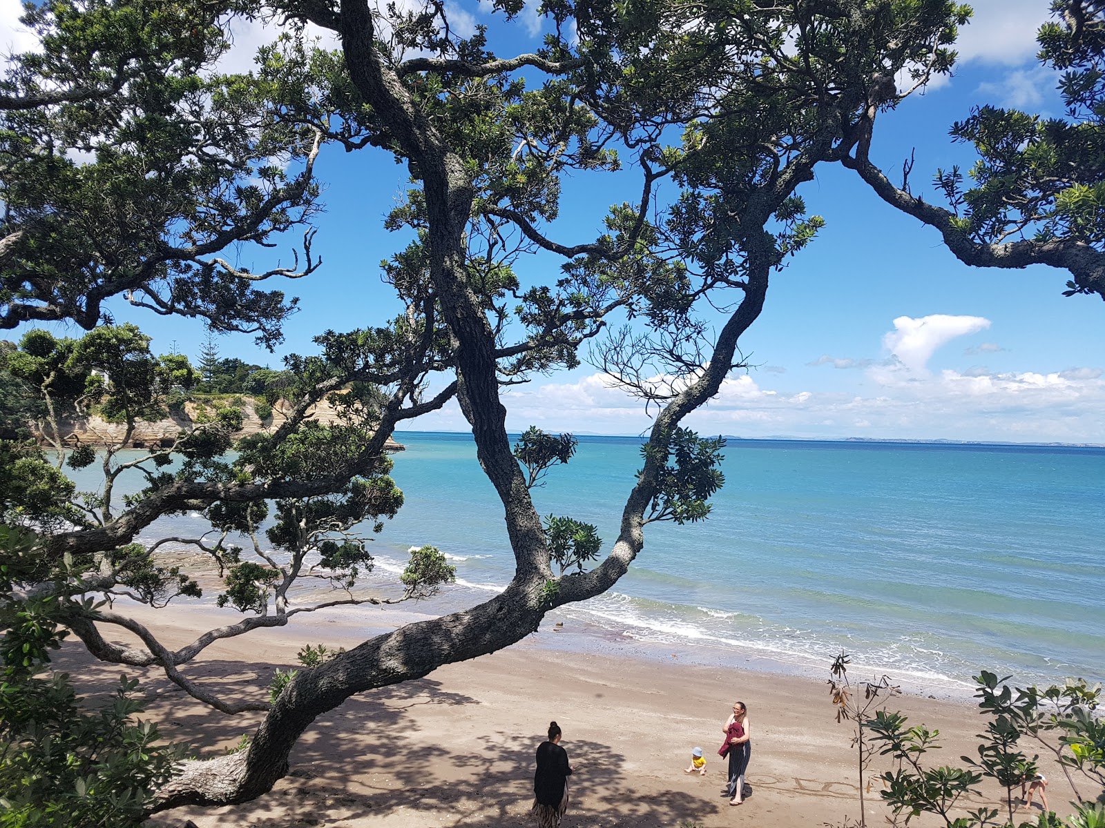 Foto di Little Manly Beach con una superficie del sabbia beige