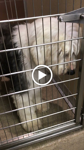 Grocery Store «North Shore Farms», reviews and photos, 770 Port Washington Blvd, Port Washington, NY 11050, USA