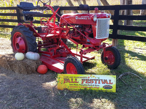 Event Venue «Club Lake Plantation Wedding Venue», reviews and photos, 3403 Rock Springs Rd, Apopka, FL 32712, USA