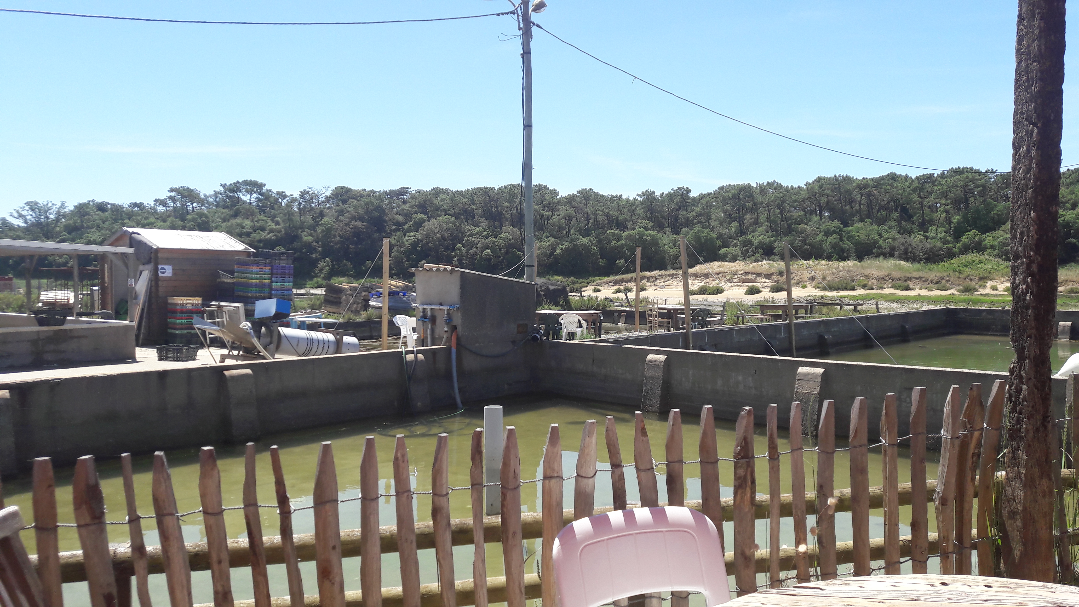 Photo n° 1 de l'avis de Aug.o fait le 13/06/2022 à 13:59