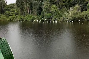 Lago do Cuniã Extractive Reserve image