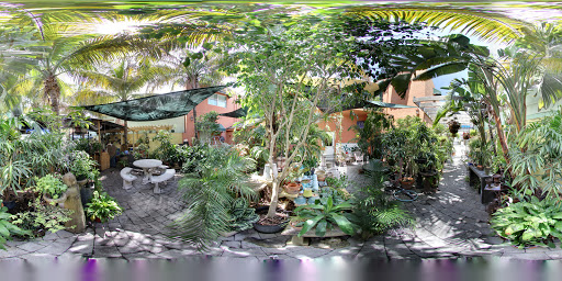 Florist «Victoria Park Flower Studio», reviews and photos, 901 NE 20th Ave, Fort Lauderdale, FL 33304, USA