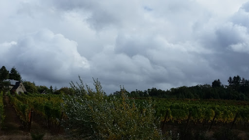 Winery «Walnut Ridge Vineyard», reviews and photos, 94739 Turnbow Ln, Junction City, OR 97448, USA