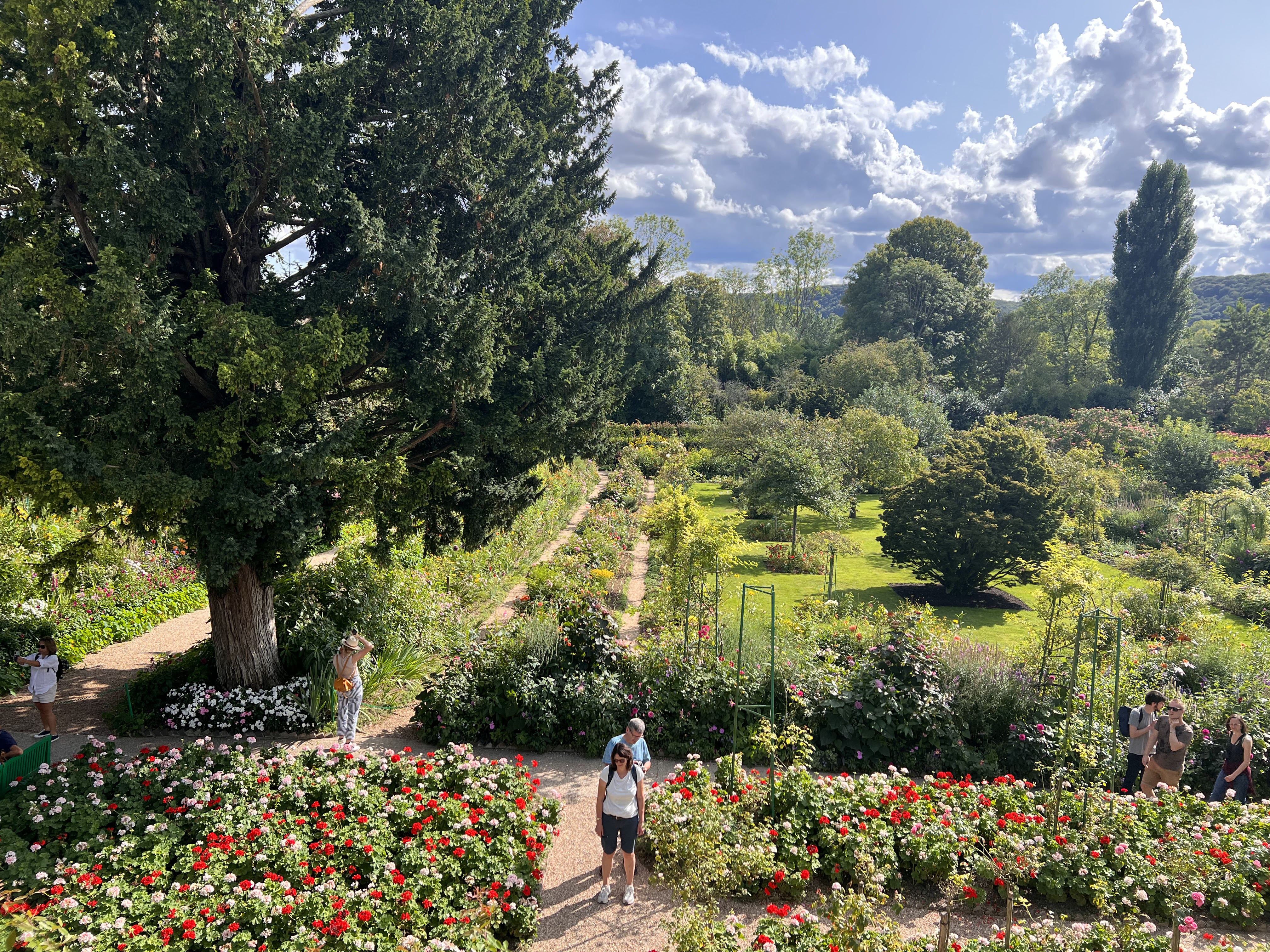 Photo n° 3 de l'avis de El.a fait le 29/08/2023 à 13:05