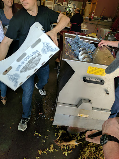 Winery «The Wine Experience», reviews and photos, 3092 Shafto Rd # 6, Tinton Falls, NJ 07753, USA