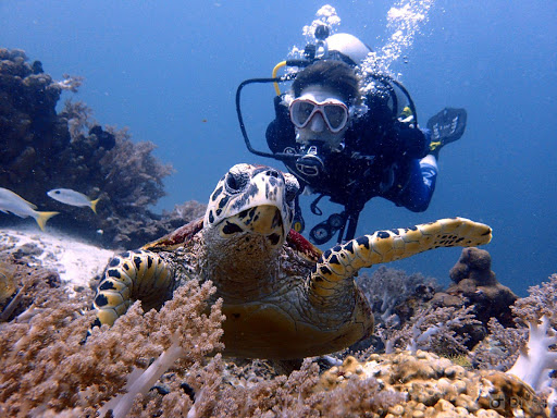 Phuket Dive Tours - Scuba Diving & Snorkeling Charters