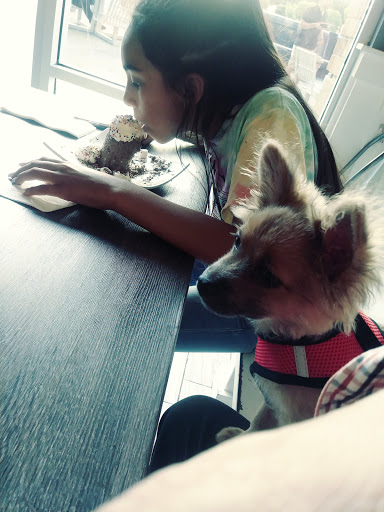 Dessert Shop «Vampire Penguin Shaved Snow and Desserts», reviews and photos, 9135 W Stockton Blvd, Elk Grove, CA 95758, USA