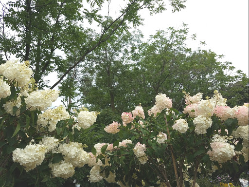 Landscaping Supply Store «Schroeder Material Inc», reviews and photos, 10800 SW Hwy, Worth, IL 60482, USA