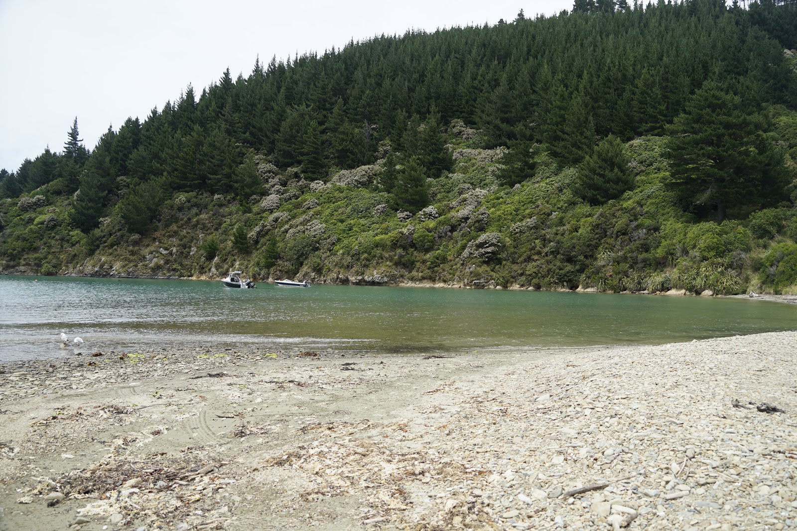 Φωτογραφία του Ocean Bay Beach άγρια περιοχή