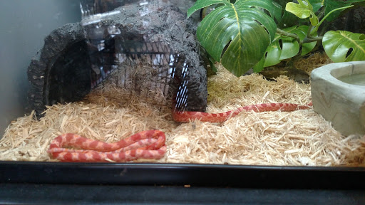 Pet Supply Store «Petco Animal Supplies», reviews and photos, 1700 E College Ave #1, Normal, IL 61761, USA