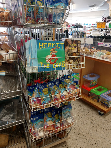 Gift Shop «Big Shark», reviews and photos, 2715 N Atlantic Ave, Daytona Beach, FL 32118, USA