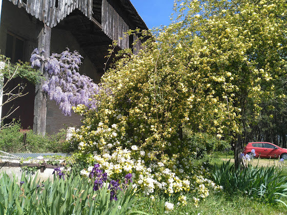 Photo Chambre d'hôtes Au fil du canal 47430 Le Mas-d'Agenais