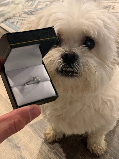 Jeweler «Jewelry on James», reviews and photos, 3547 James St, Syracuse, NY 13206, USA