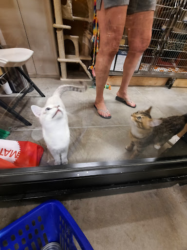 Pet Supply Store «PetSmart», reviews and photos, 1034 N El Camino Real, Encinitas, CA 92024, USA