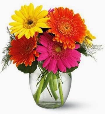 Florist «KaBloom», reviews and photos, 305 Harvard St, Brookline, MA 02446, USA