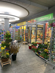 Schutz Filisur Blumen Chur