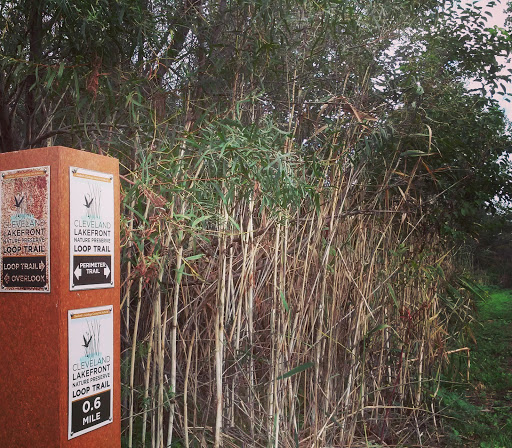 Nature Preserve «Cleveland Lakefront Nature Preserve», reviews and photos, 8701 Lakeshore Blvd, Cleveland, OH 44108, USA